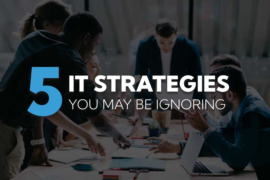 White Paper 5 IT Strategies